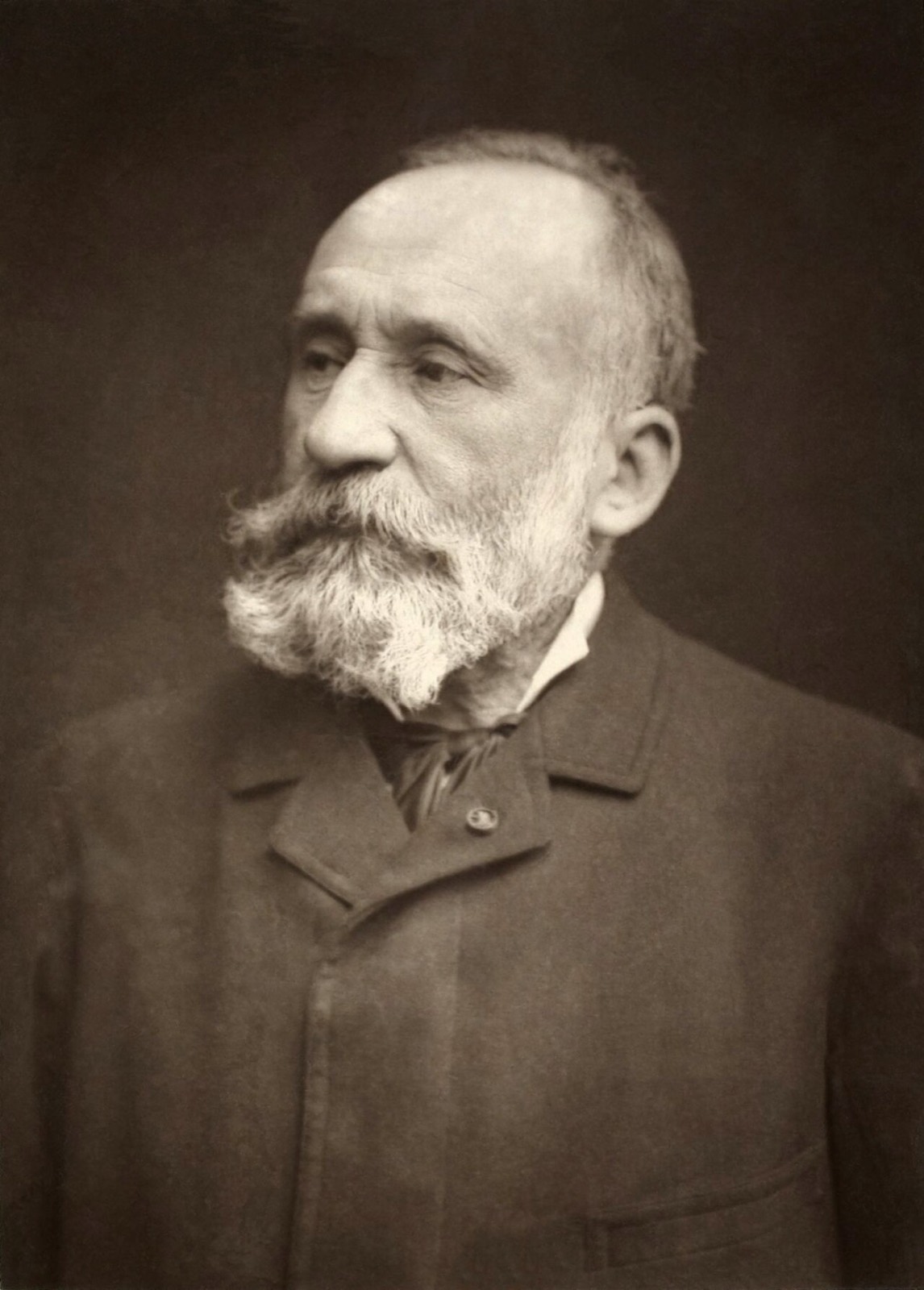 Pierre-Cécile Puvis de Chavannes BNF Gallica