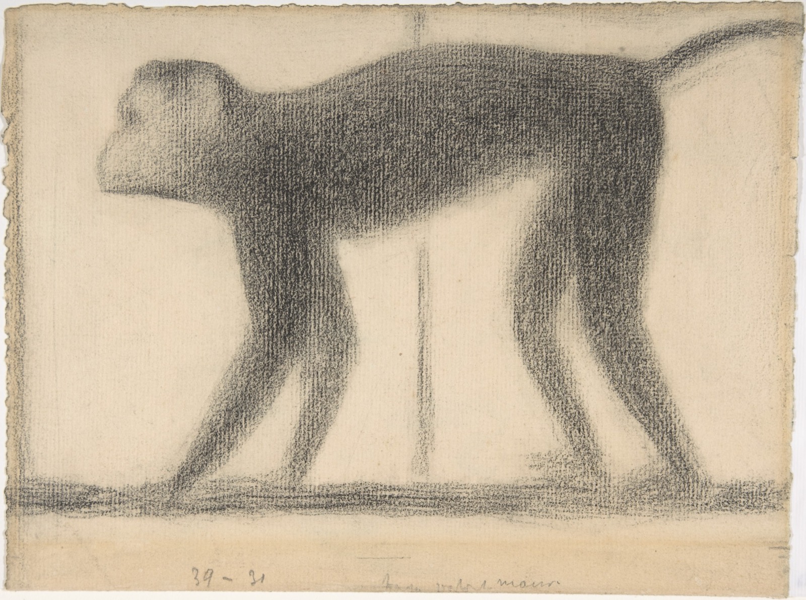 Monkey